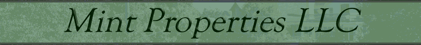 Mint Properties LLC