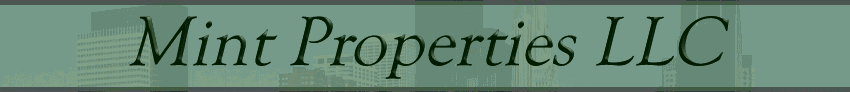 Mint Properties LLC