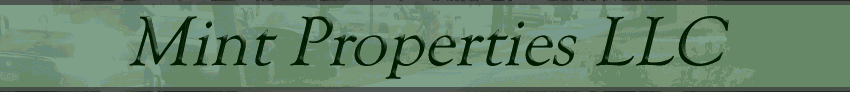 Mint Properties LLC