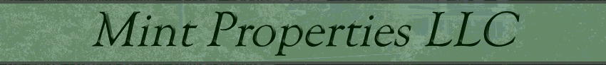 Mint Properties LLC